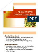 Struktur Jaringan Tumbuhan II