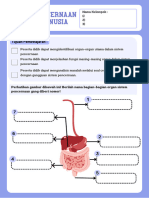 LKPD Sistem Pencernaan