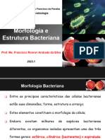 Morfologia e Estrutura Da Célula Bacteriana