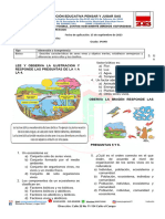 Evaluacion de Ciencias Naturales 3ºayb