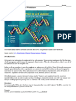 23 - DNA Replication Practice Worksheet 2