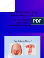 Deteksi Dini Kanker Leher Rahim Dengan IVA: Dr. Frides Susanty Subdit Kanker Direktorat PPTM, Kemenkes RI