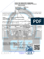 VE Certificación Vial Op 250ton 23-11-2023