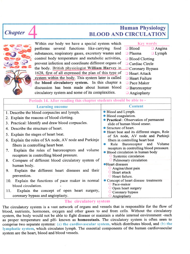 Z 05 marked book ev pdf