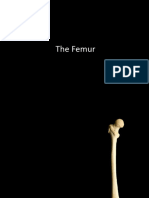 Femur Osteo