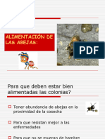 Alimentacion de Las Abejas