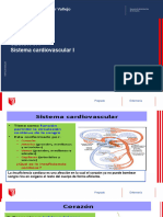 Clase 7 Sistema Cardiovascular I