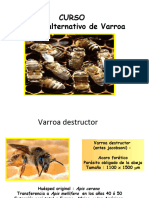 Control de Varroasis