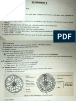 1 Hydrophyte