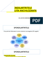 SpA - Spondilita Anchilozanta