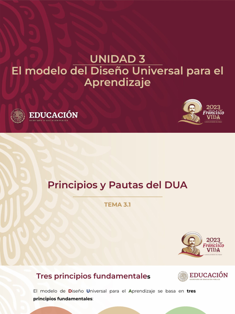 Tema 3.1 Principios y Pautas Del DUA | PDF | Aprendizaje | Motivacional