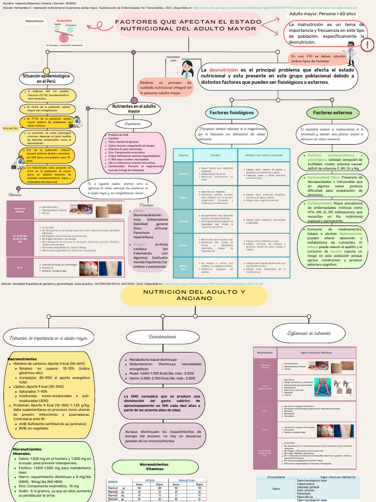 Nutricion Del Adulto Mayor | PDF | Nutrición | Dieta y nutrición