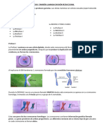 Biología Resumen