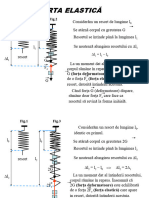 Forta Elastica (Fe) 3