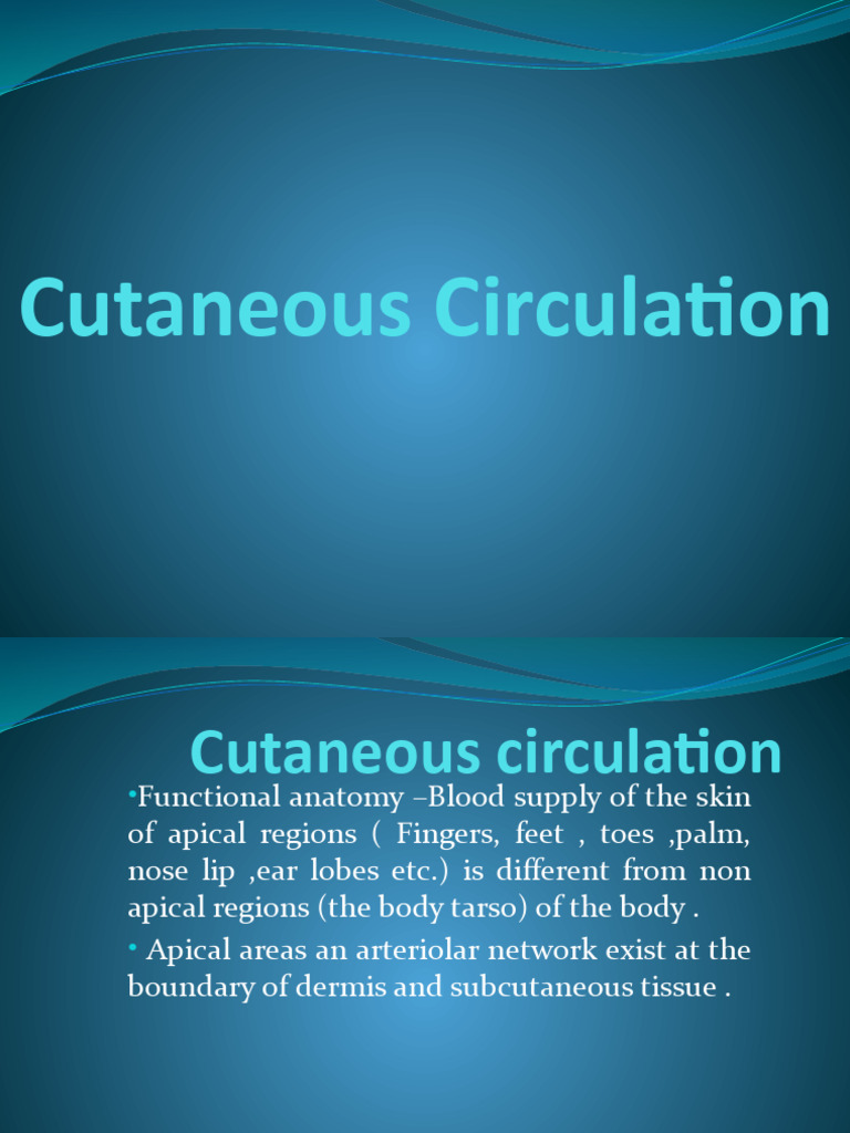 Cutaneous Circulation | PDF | Vasodilation | Skin
