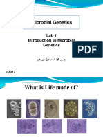 Lab 1 Introduction To Microbial Genetics