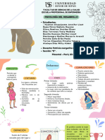 Concepción, Embarazo, Periodo Prenatal y Postnatal - Grupo6 - TorresChapoñanPriscila