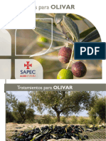 16ef2 Folleto Olivar 2018 v2 Web