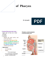 Azmath - Anat of Pharynx