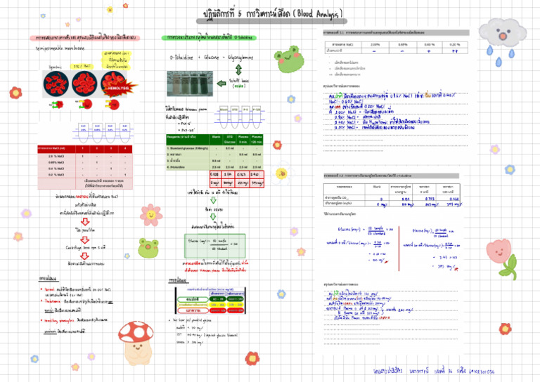 Mind Map (Lab) ปฏิบัติการที่ 5- การวิเคราะห์เลือด | PDF