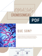 Anomalías Geneticas