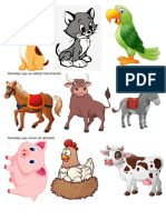 Animales de Compañía