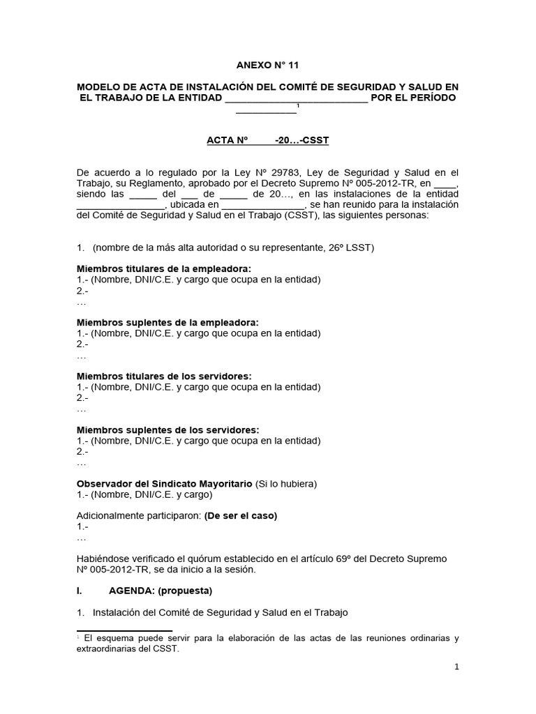 Acta de Instalación del CSST | PDF | Gobierno | Gobernancia