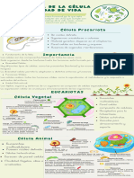 Infografía Biología Tipos de Células Ilustrativa Verde (1)