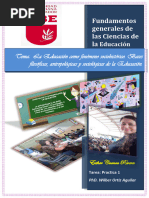 Manual Uso de Plataforma Virtual Eva | PDF | Wiki | ciberespacio