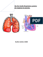 2 - Unit 2 - Describe The Cardio Respiratorys Response To Acute Exercise