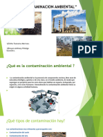 La Contaminacion Ambiental (Aplicaciones en Internet)