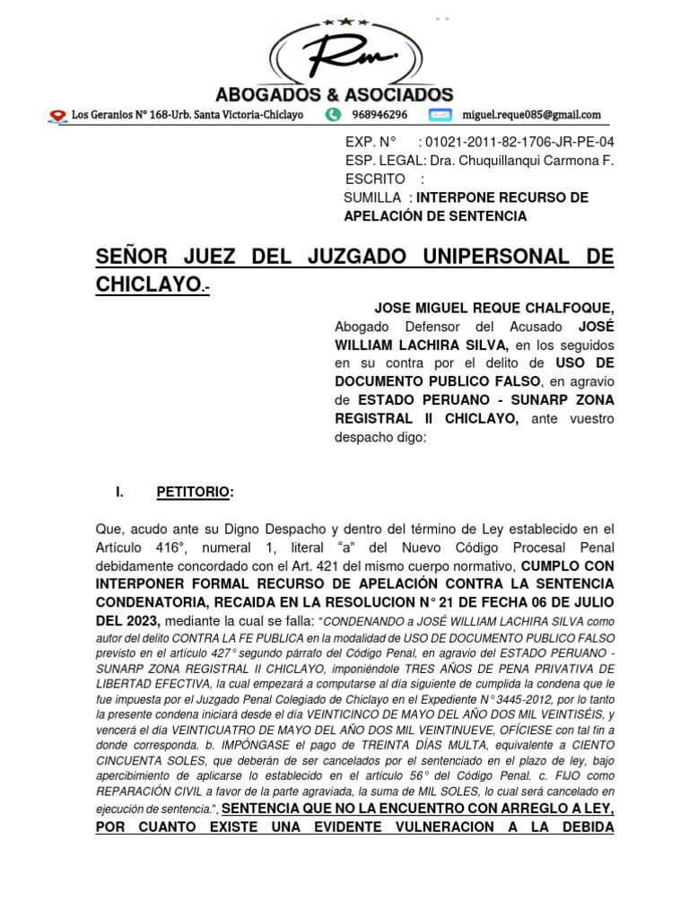 Apelacion de Sentencia | PDF | Sentencia (ley) | Gobierno