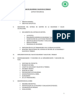 Estructura Del Plan de SST