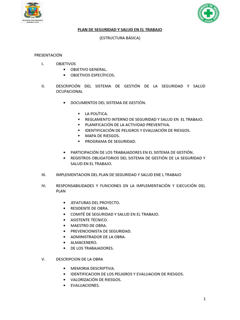 Estructura Del Plan de SST | PDF