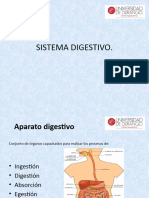 Sistema Digestivo