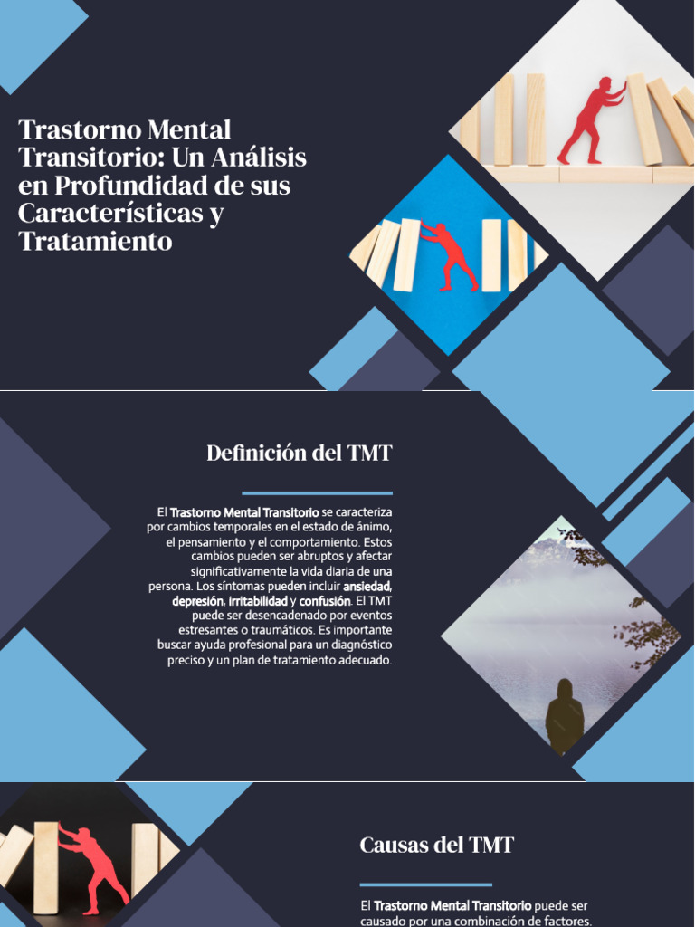 Trastorno Mental Transitorio: Guía | PDF | Crecimiento personal y ...