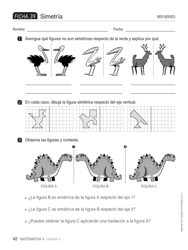 Ficha de Simetría | PDF