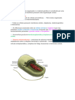 Células Procarióticas