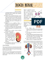 9.3 Fisología Renal