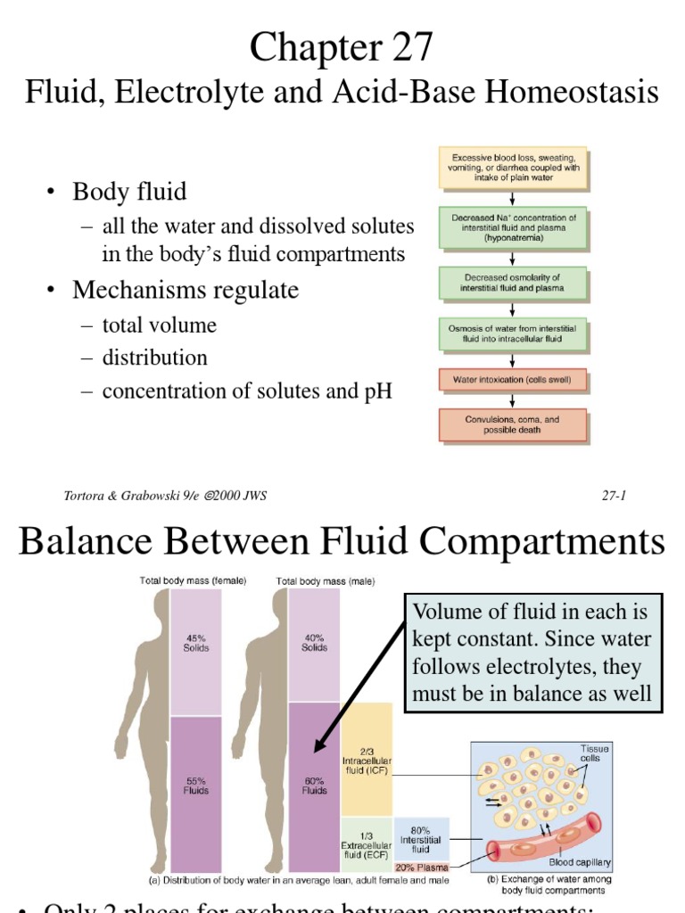 Fluid and Electrolyte Homeostasis Guide | PDF | Homeostasis | Sodium