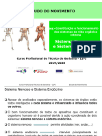 01 - Organização Geral Do Sistema Nervoso