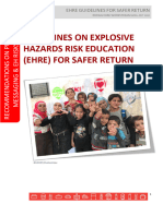 Guidelines On Ehre For Safer Return - RDSWG Ehre Ws Nov2020