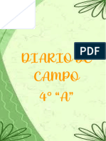 Diario de Campo 4B