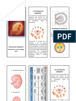 Embriologi Humana