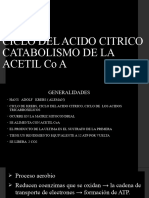 Ciclo Del Acidocitrico Catabolismo de La Acetil Co