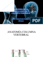 Neuro Medula Espinal