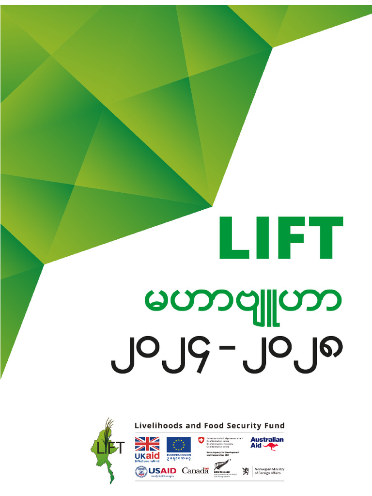 LIFT-Strategy-2024-2028-external-version - MM | PDF