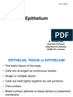 A Epithelial - Tissue1 16 12 14