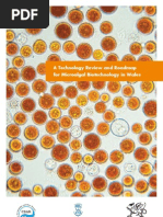 Download Microalgal Biotechnology Technology Review and Road Map by Josh Mayers SN68209542 doc pdf