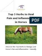 Top 5 Herbs To Heal Pain and Inflammation in Horses September 2016